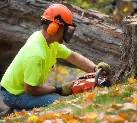 tree services Carlin